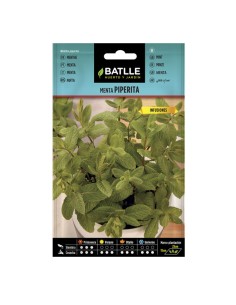 semillas menta Piperita para infusiones Batlle sobre