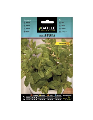 semillas menta Piperita para infusiones Batlle sobre