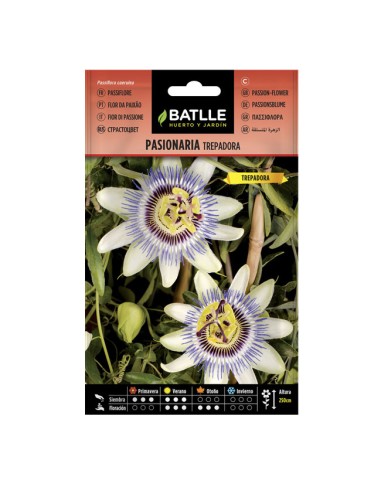 Semillas flores Pasionaria Trepadora Batlle