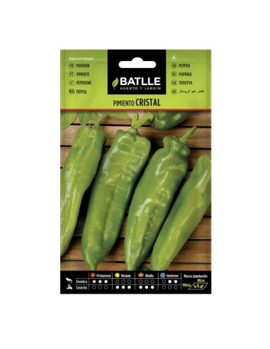 Semillas Pimiento Cristal Sobre Batlle