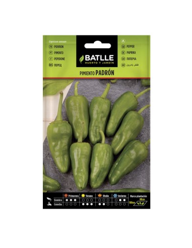 Semillas Pimiento Padrón Batlle Sobre