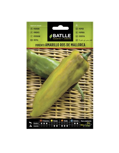 Semillas Pimiento Amarillo Ros de Mallorca Sobre Batlle