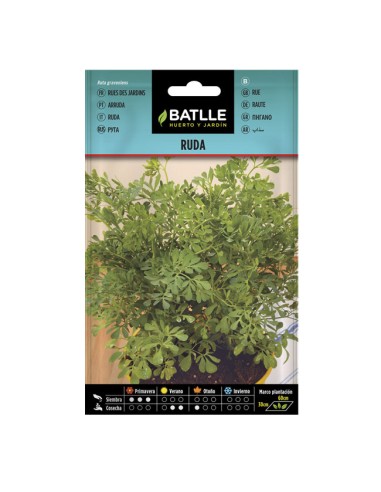 semillas Ruda Batlle sobre 1gr.