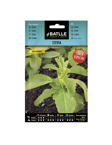 Semillas Stevia Sobre Batlle