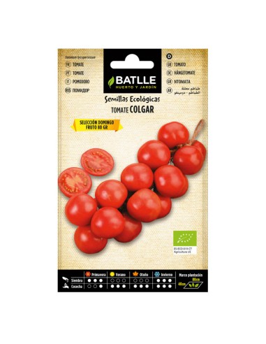 Semillas ecológicas Tomate Colgar Selección Domingo Batlle