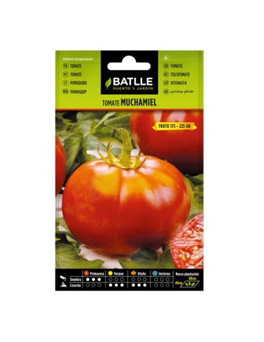 Semillas Tomate Muchamiel Sobre Batlle