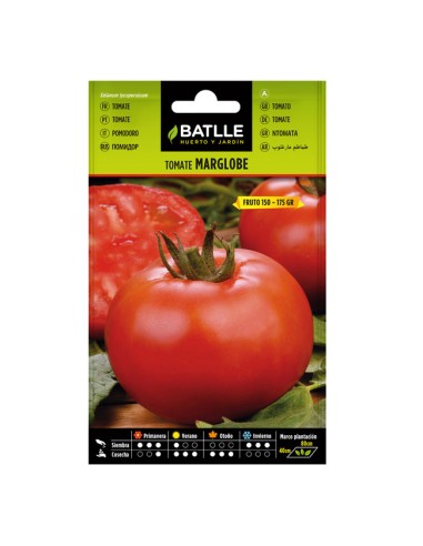 Semillas Tomate Marglobe Sobre Batlle