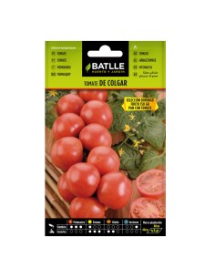 Semillas Tomate de Colgar Domingo Sobre Batlle
