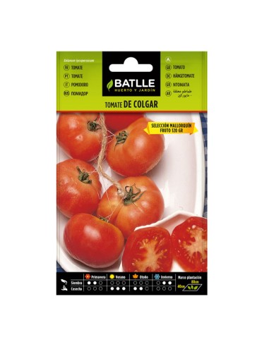 Semillas Tomate de Colgar Selección Mallorquín Sobre