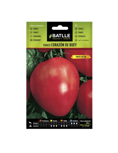Semillas Tomate Corazón de Buey Batlle sobre