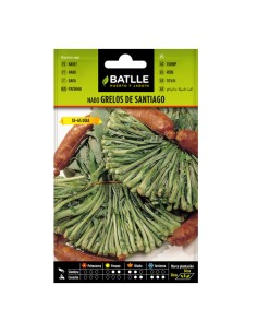semillas Nabo de Grelos de Santiago Sobre Batlle