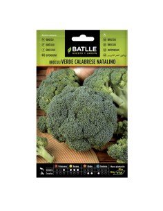 Semillas Bróculi Verde Calabrese Natalino Batlle