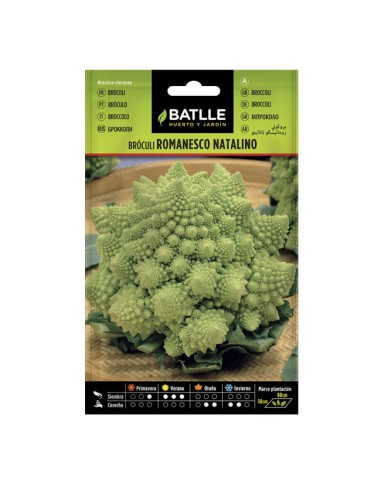 Semillas Bróculi Romanesco Natalino
