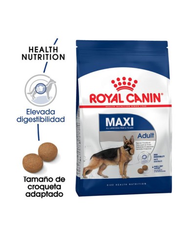 beneficios Maxi Adult Royal Canin pienso perros adultos