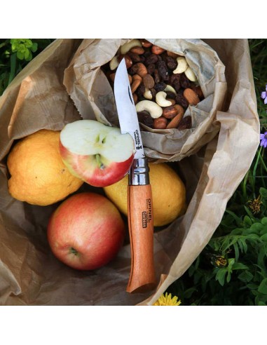 Navaja Opinel n.9 para camping o picnic