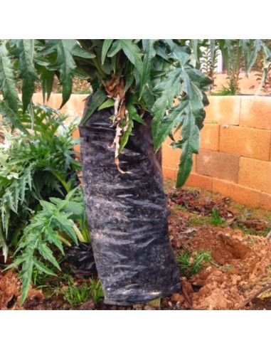 Plástico para blanquear cardos (metro...