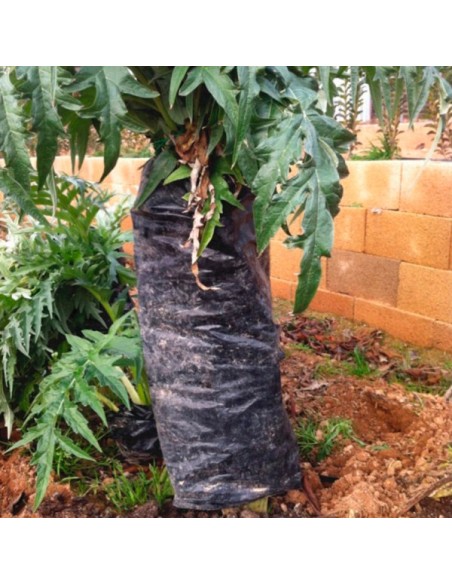 Plástico para blanquear cardos (metro lineal)