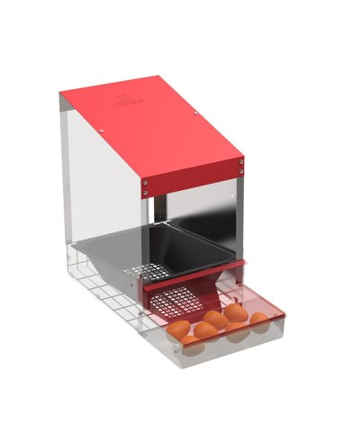 interior ponedero para Gallinas 1 departamento