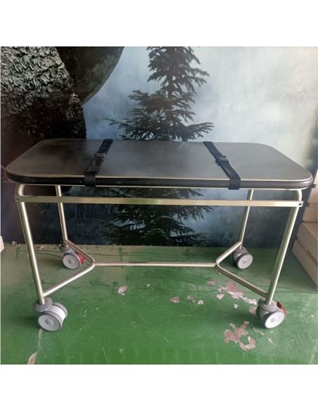 Camilla Cuidados Intensivos o Emergencia Veterinaria