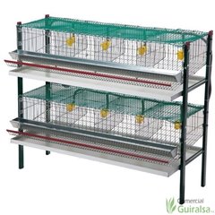 Batería de Jaulas para Codornices 1 cesta 4 departamentos 2