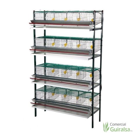Batería de Jaulas para Codornices 4 cestas 16 departamentos