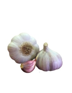 ajos de siembra morado Guiralsa