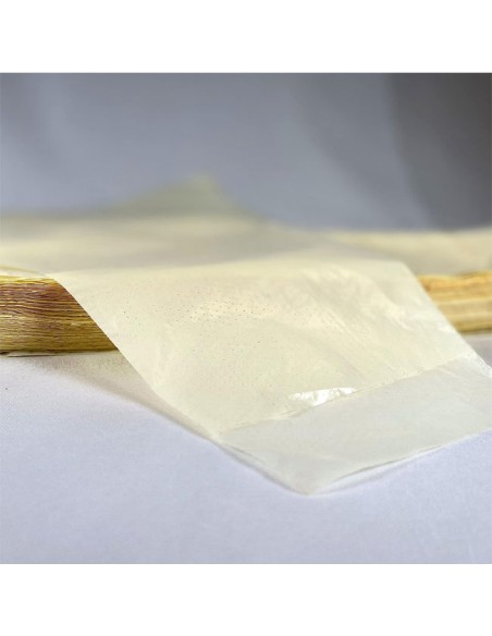 Bolsa Microperforada para Proteger racimos de uva