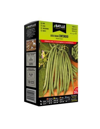 Judía Enana Contender BATLLE semillas 250gr