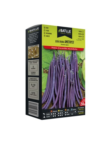 caja semillas 250gr. Judía Enana Amethyst Batlle