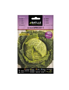 Semillas Col Rizada Capriccio Hibrido F-1 BATLLE sobre