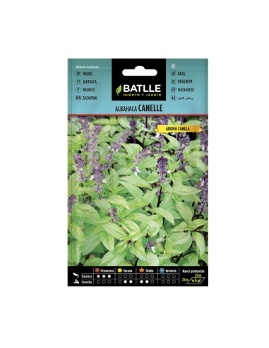Semillas Albahaca Canelle BATLLE sobre