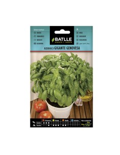 Semillas Albahaca Gigante Genovesa Batlle sobre 4gr.
