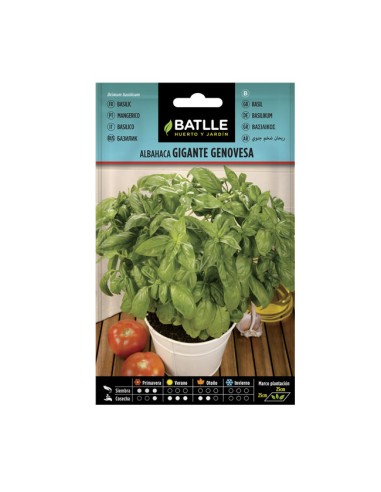 Semillas Albahaca Gigante Genovesa Batlle sobre 4gr.