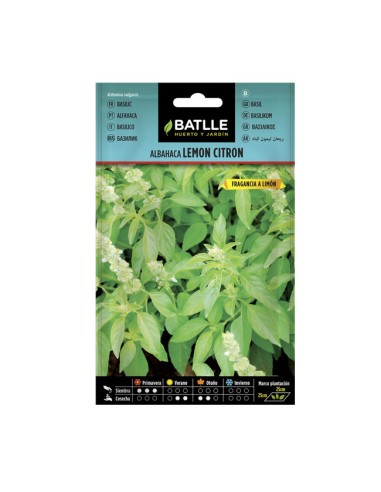 Semillas Albahaca Lemon Citron Batlle sobre 1gr.
