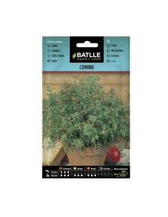 Semillas Comino Batlle sobre
