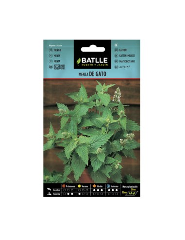Semillas Menta de Gato BATLLE sobre 2gr