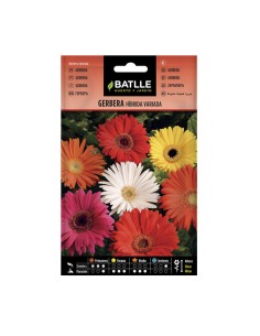 Semillas Gerbera Híbrida Variada Batlle sobre 0,15gr