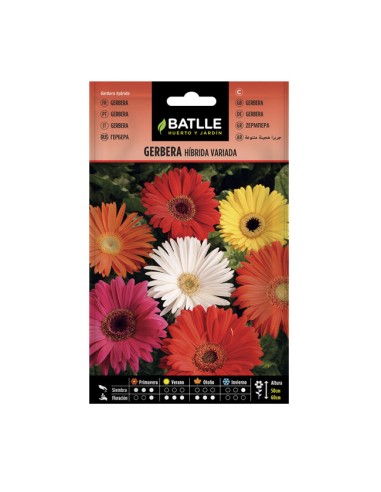 Semillas Gerbera Híbrida Variada Batlle sobre 0,15gr