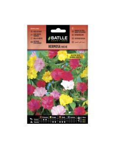 Semillas Hermosa Noche BATLLE 10gr.