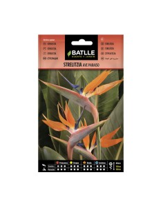 Semillas Strelitzia Ave Paraíso BATLLE sobre