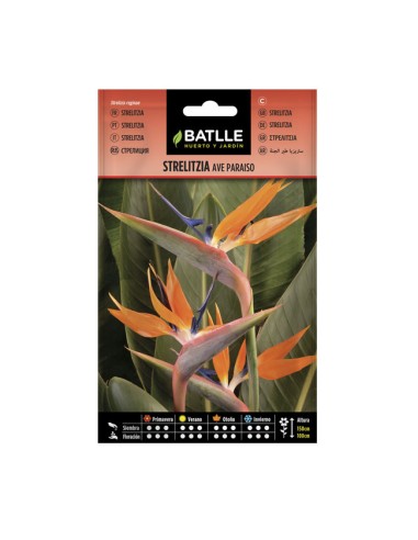 Semillas Strelitzia Ave Paraíso BATLLE sobre