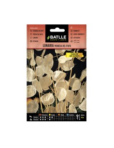 Semillas Lunaria Moneda Del Papa Batlle sobre 7gr.