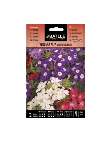 Semillas Verbena Alta Variada Híbrida BATLLE sobre 0,9gr
