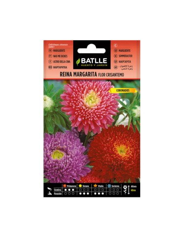 Semilla Reina Margarita Flor Crisantemo BATLLE sobre 3gr.