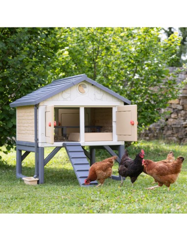 Mi Primer Gallinero con gallinas en jardín exterior