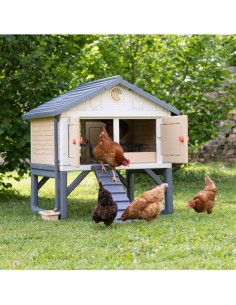 Mi Primer Gallinero Copele 2