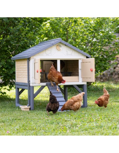 jardín con Mi Primer Gallinero Copele