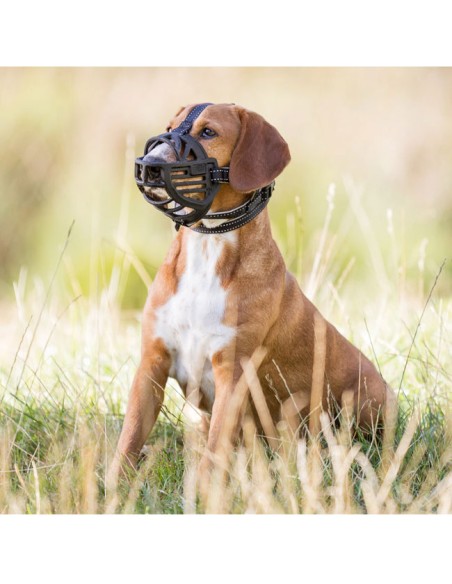 ambiente con perro y bozal Flex Trixie