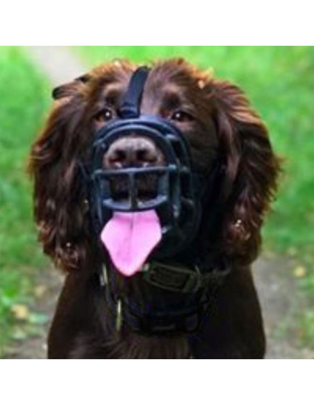 Cocker con Bozal Baskerville Ultra Muzzle Perros talla 3