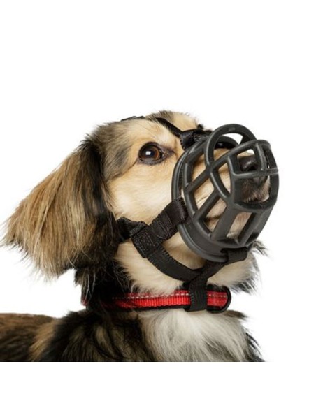 perro pequeño con Bozal Baskerville Ultra Muzzle talla 1